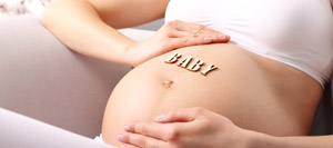 layout-vidaeviver_11