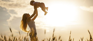 layout-vidaeviver_13