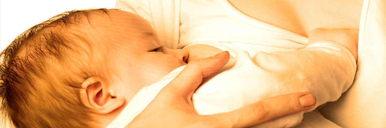 layout-vidaeviver-slide_06